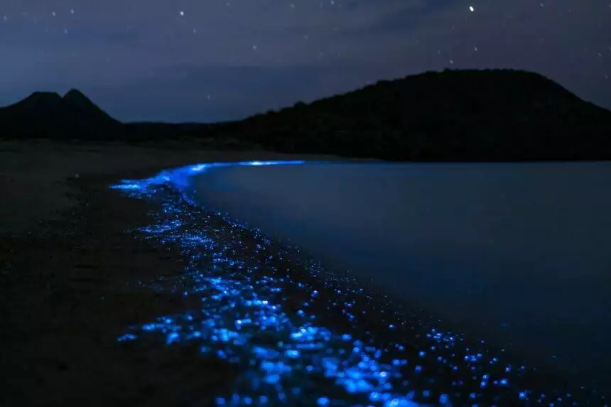sea of stars in maldives