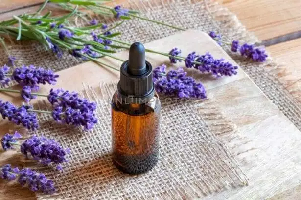 Is Lavender Essential Oil Safe For Dogs | Important Facts For You !