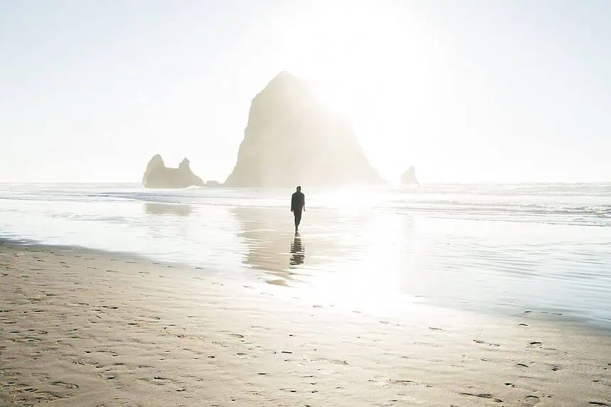 The Mystery of Jimmy Hoffa's Disappearance 1 https://pixabay.com/photos/man-walk-beach-shore-sand-nature-2608550/