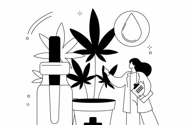 Cannabis potency