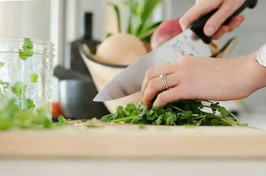 how to keep cilantro fresh