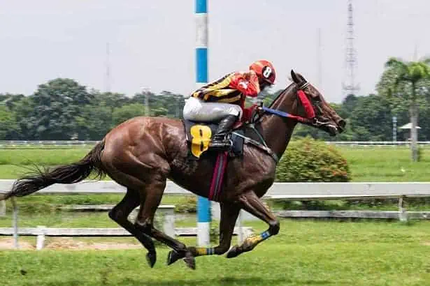 Guy riding on the horse