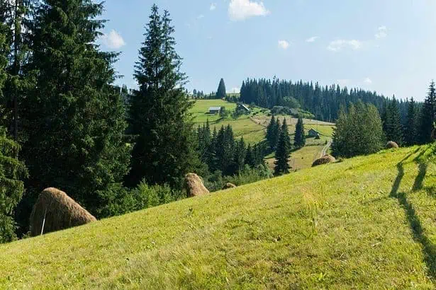 Living in a sloping land.