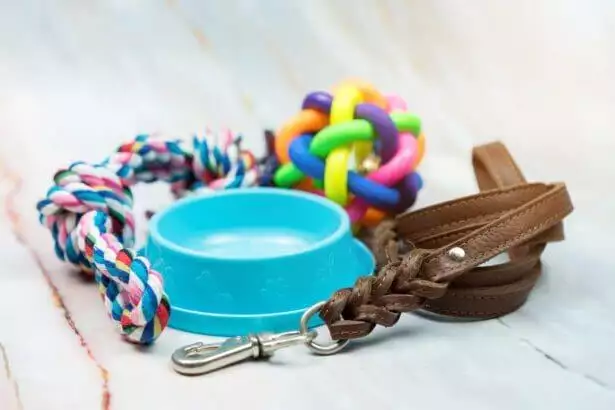 Dog food and accessories.