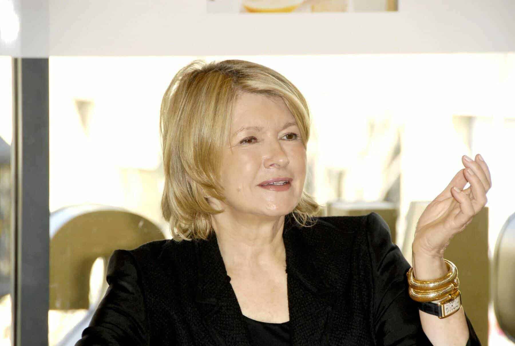 Home Icy 39 Martha Stewart