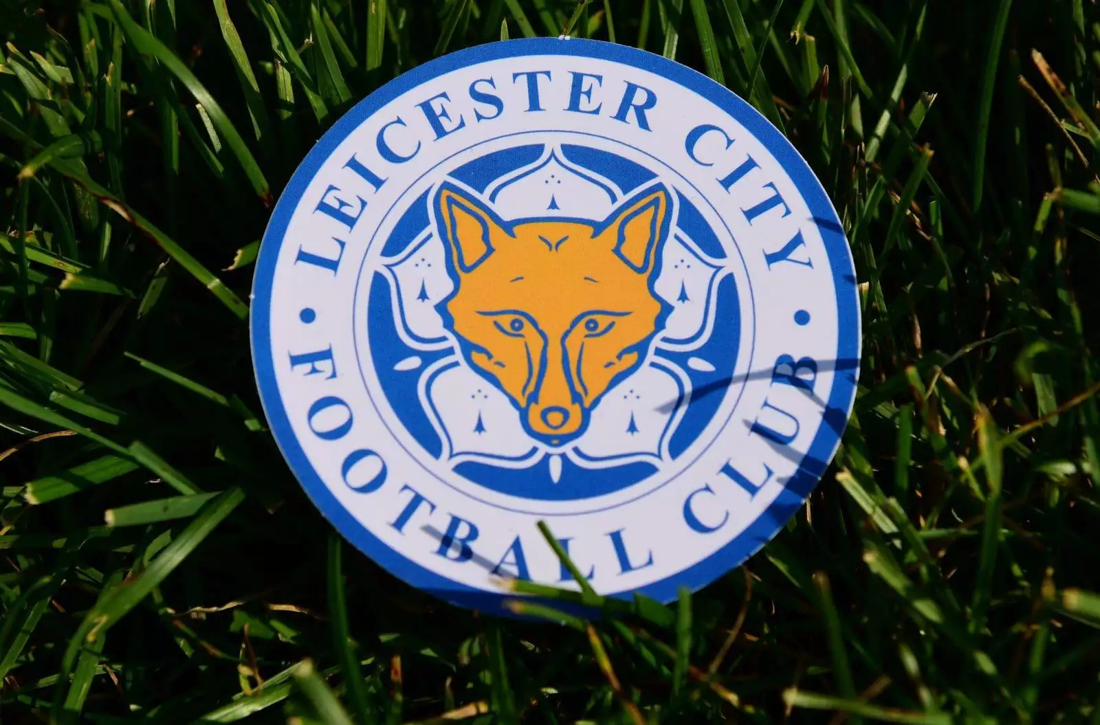Fulham Defeats Leicester City
