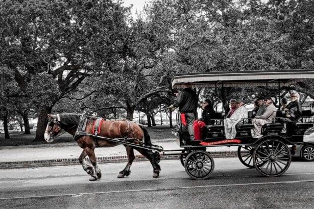 Tour the City of Charleston on a Private Carriage Today!