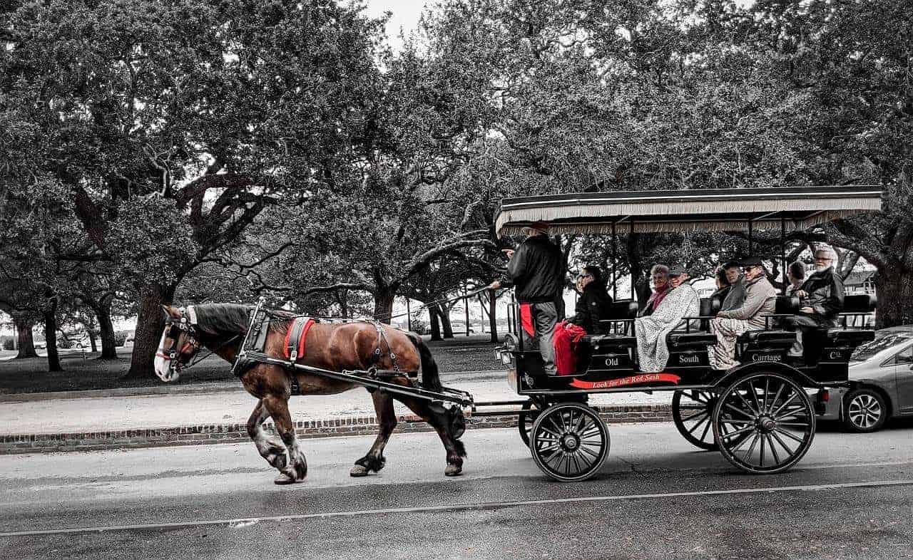 Tour the City of Charleston on a Private Carriage Today!