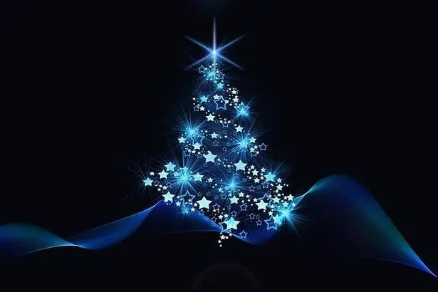 What Do The Lonely Do At Christmas!! 2
