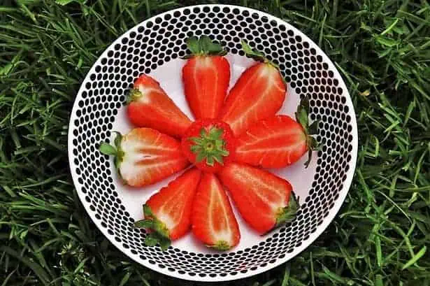 food with high fiber