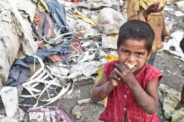 Food Crisis
