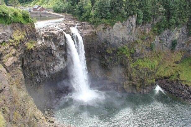 Enjoy a Pretty Forest Hike to Twin & Snoqualmie Falls Today!