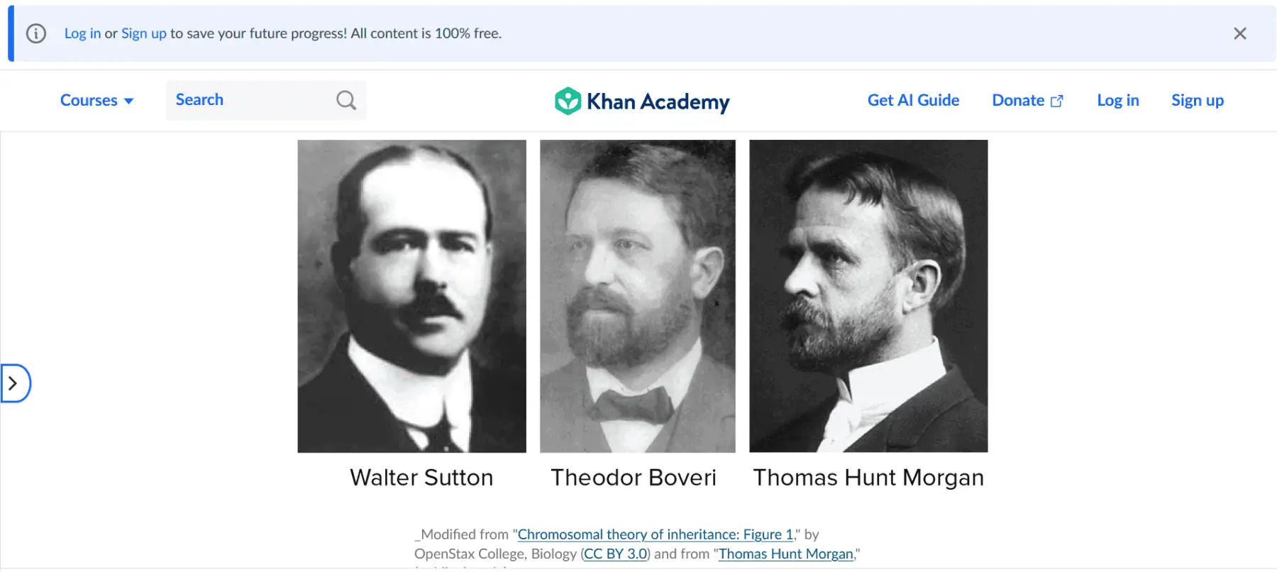 Chromosomal Theory of Inheritance