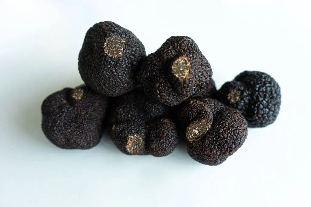 What do truffles taste like