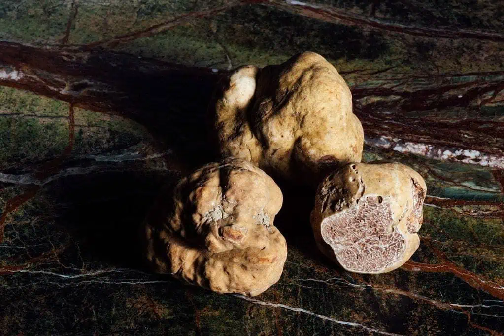 What do truffles taste like