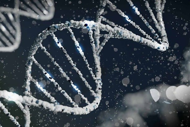 Chromosomal Theory of Inheritance