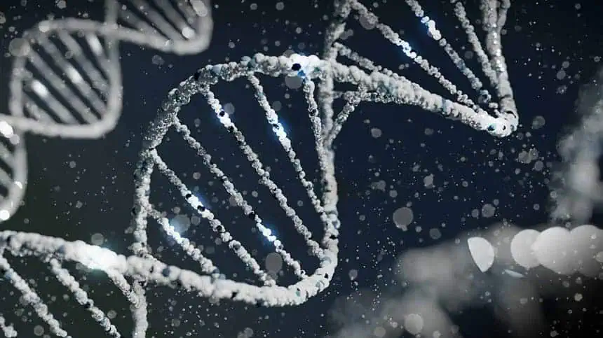 Chromosomal Theory of Inheritance