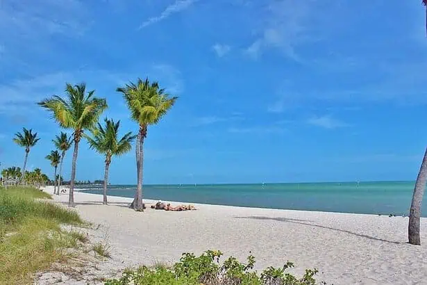 Key West Eco Tour from Miami with Kayaking & Delicious Food!