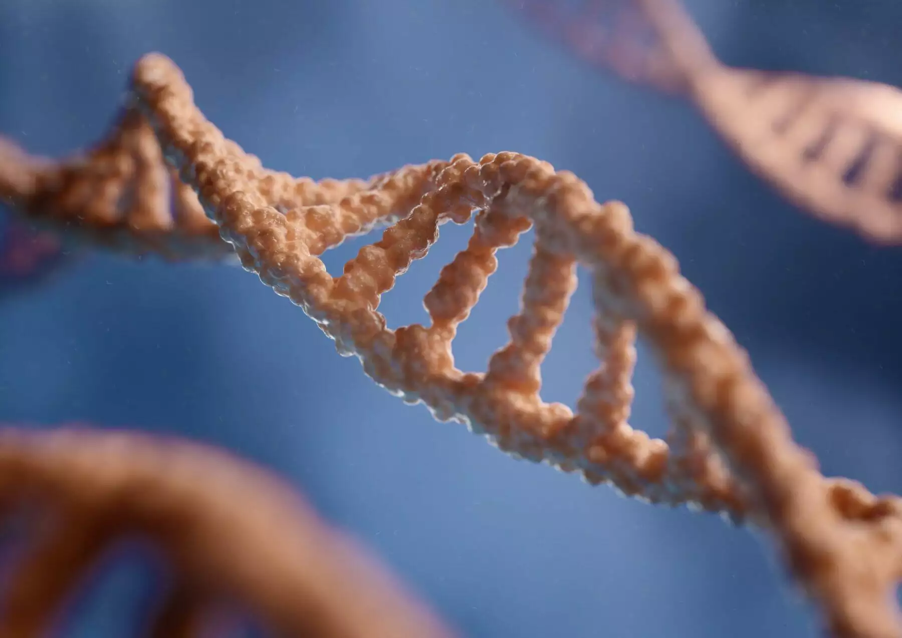 Chromosomal Theory of Inheritance