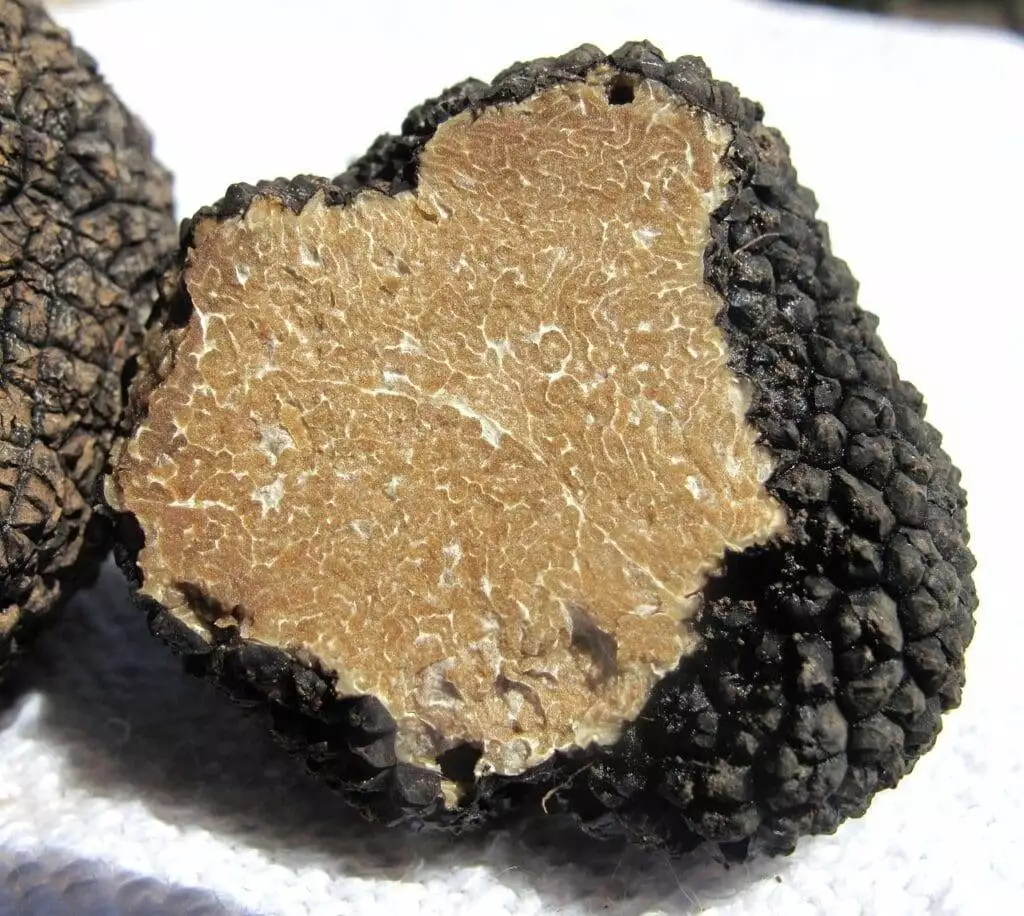 What do truffles taste like