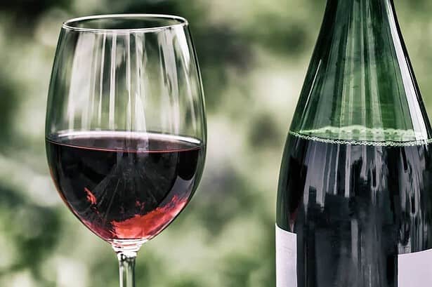 Highlights of the Wine Tasting Event in NYC! 2