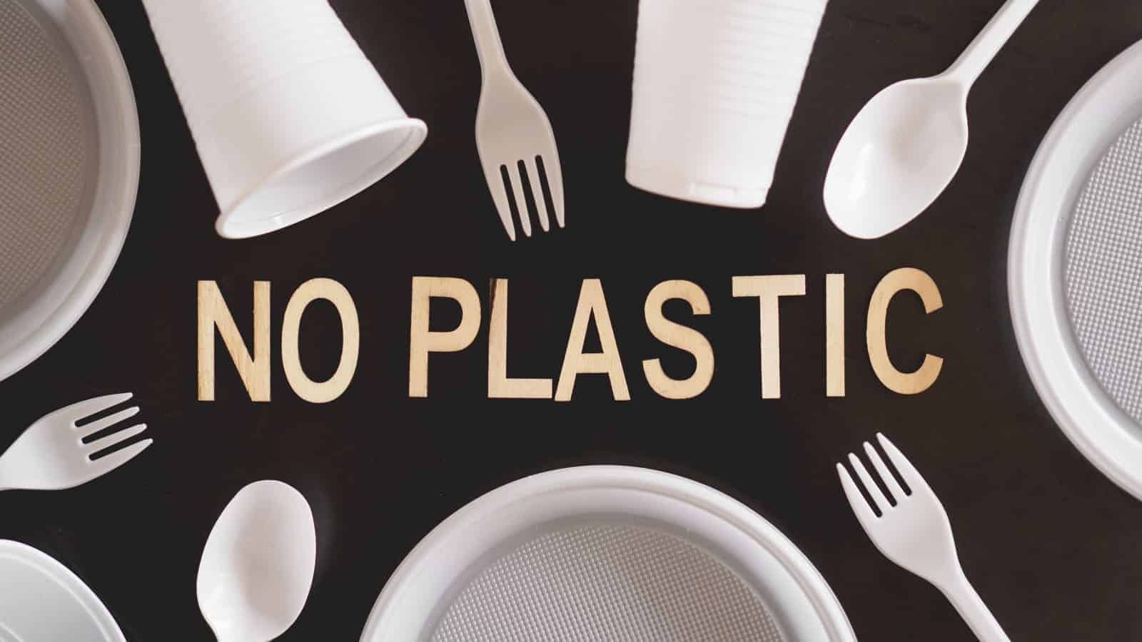Home Icy 47 Say no to plastic cutlery plastic