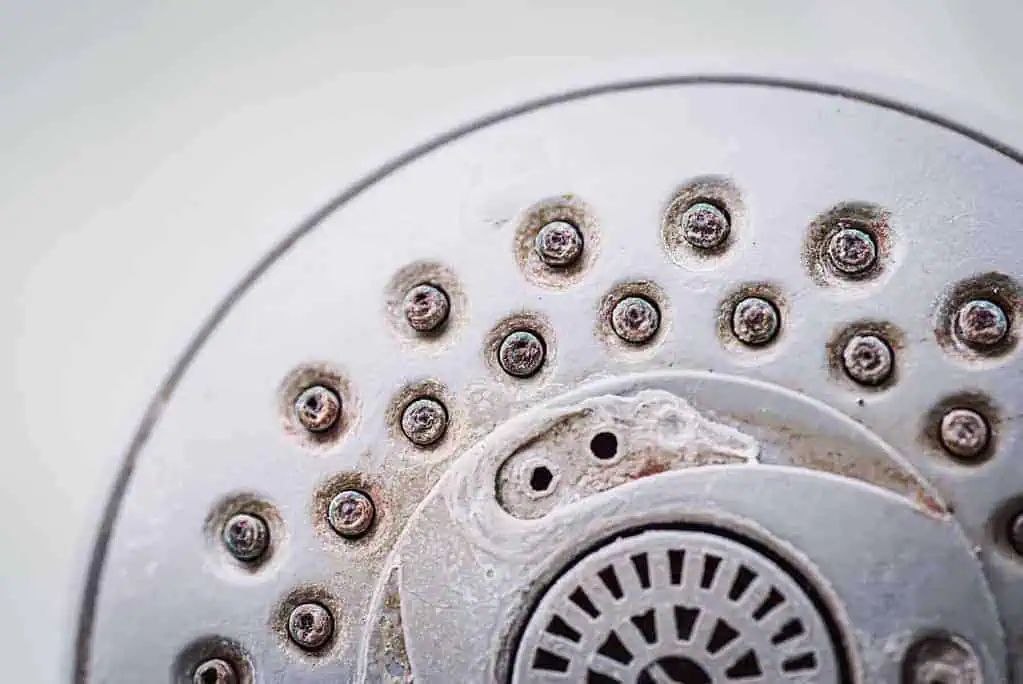 Exploring the Impact of Hard Water on Hair Loss 4 Exploring the Impact of Hard Water on Hair Loss 2