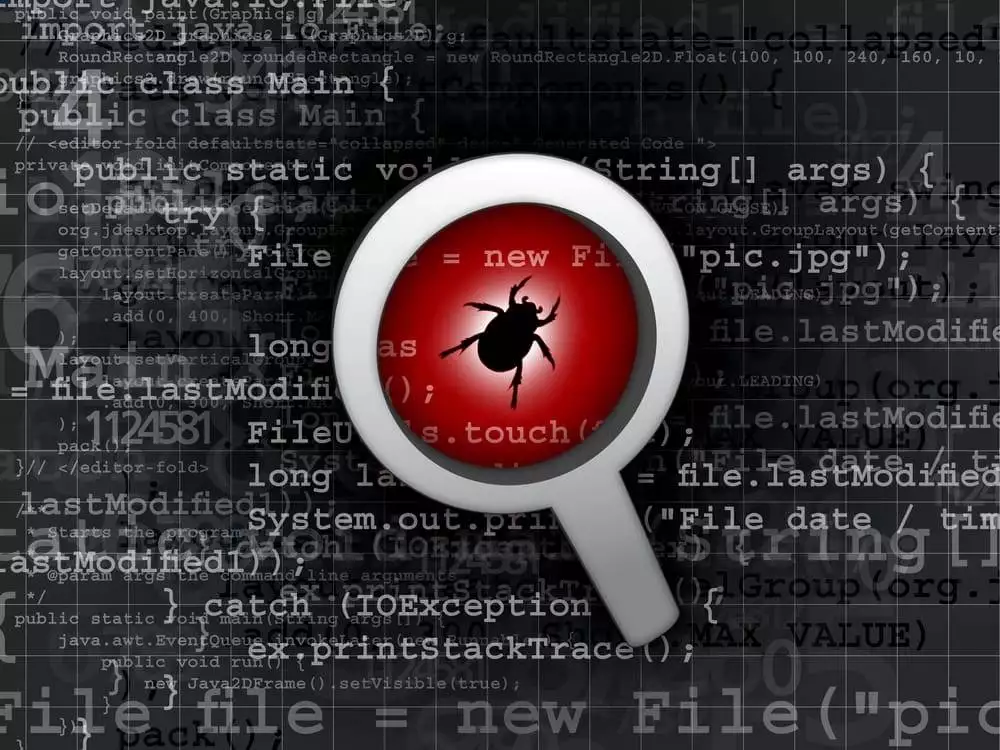 Which Insect Inspired the Term Computer Bug