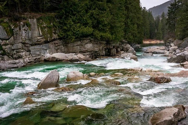 How to purify water in the wild