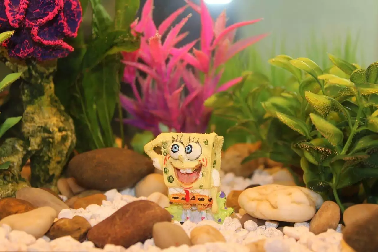 Who voices Spongebob 