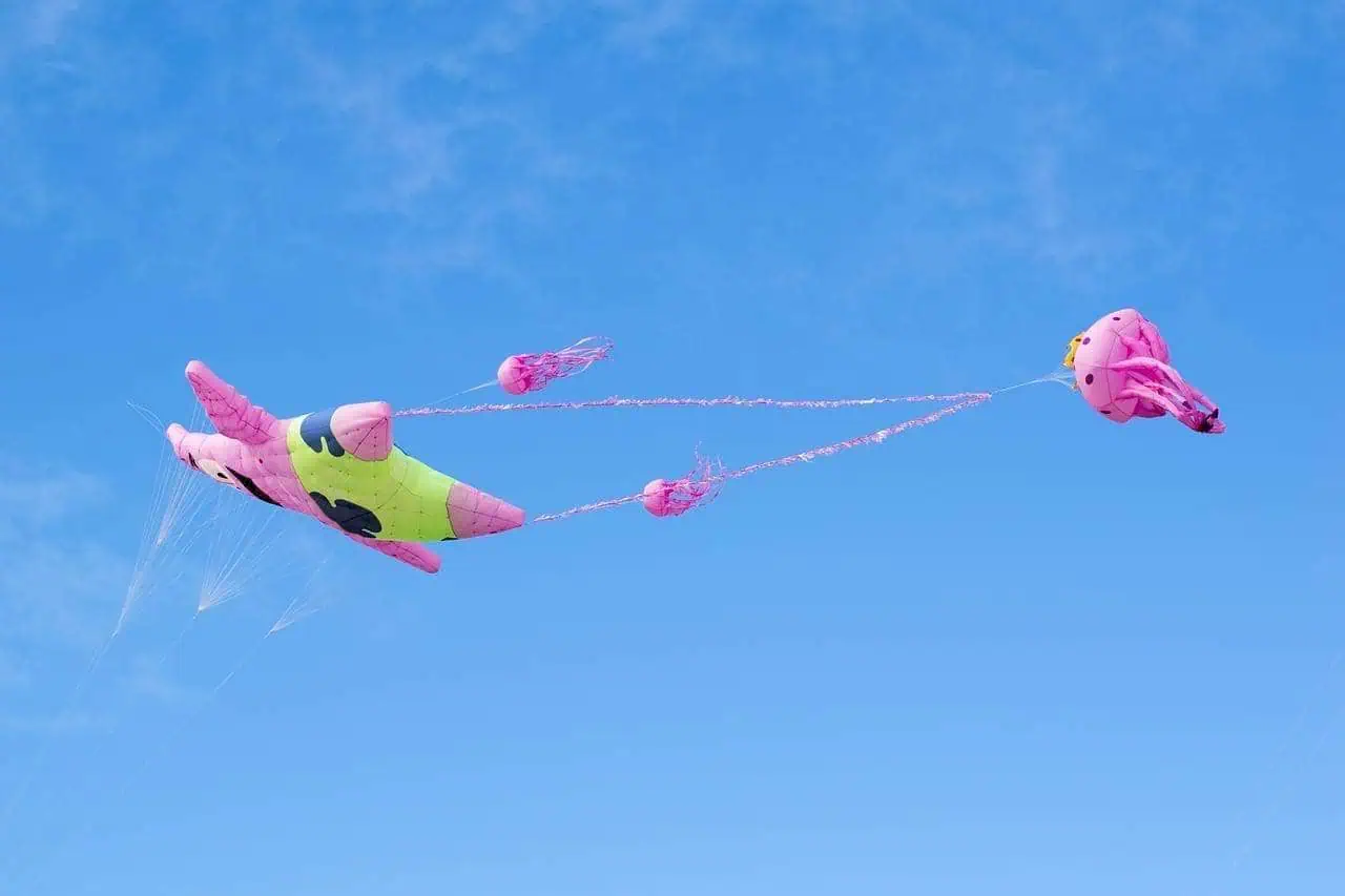 A Patrick Star Themed Kite