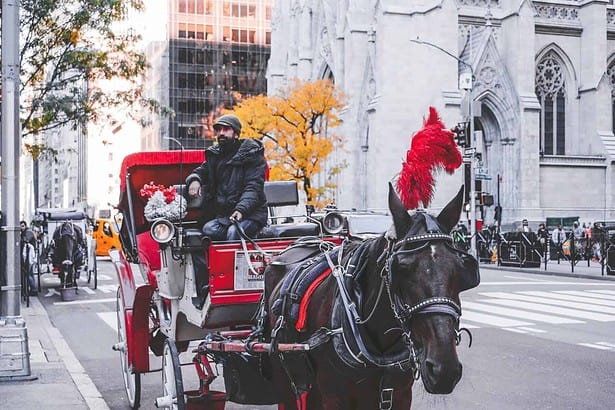 Enjoy a Scenic Horse Carriage Ride around NYC's Central Park!