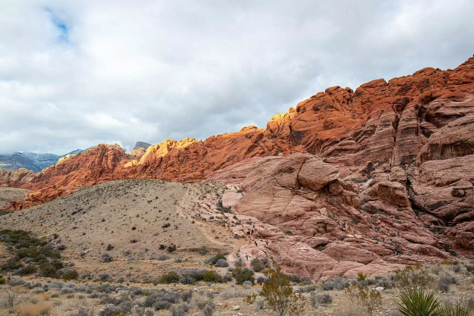 What To Do In Las Vegas In January? 3 What To Do In Las Vegas In January? 3