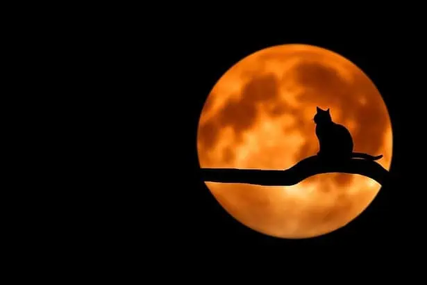 Experience the Eerie Las Vegas Strip Ghosts & Hauntings Tour!