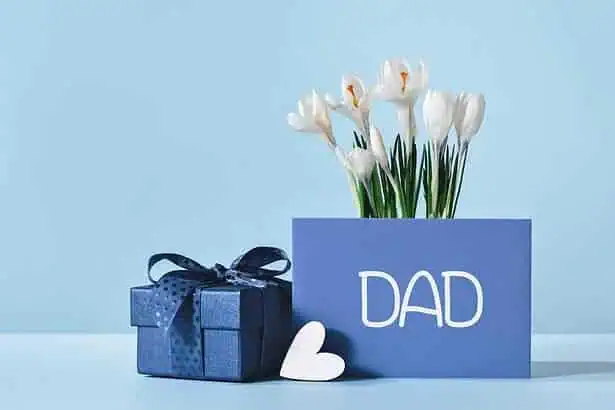 8 Birthday Gifts Dad Will Love, Even If You’re on a Budget 6