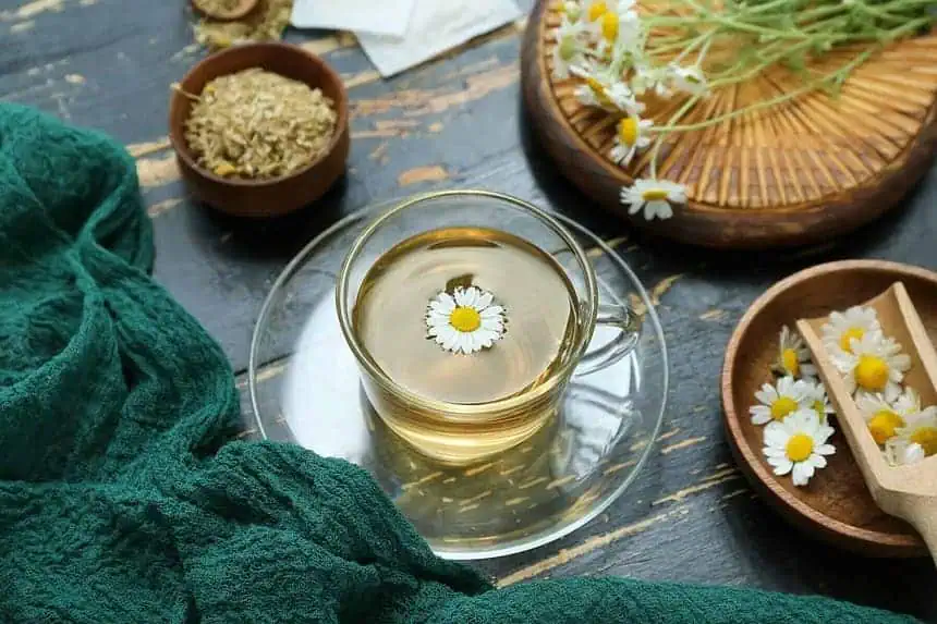 Dreamy Infusions: 7 Bedtime Brews for a Restful Night's Sleep 1