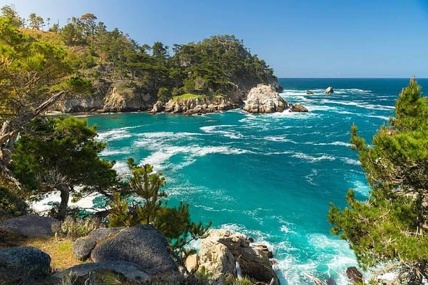 Experience a Fun Monterey Day Trip from San Francisco!