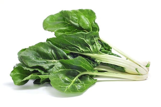 How to Harvest Swiss Chard