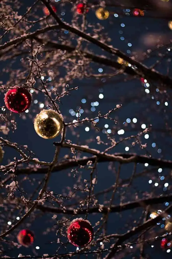 Other decorations make Christmas tree look stunning 