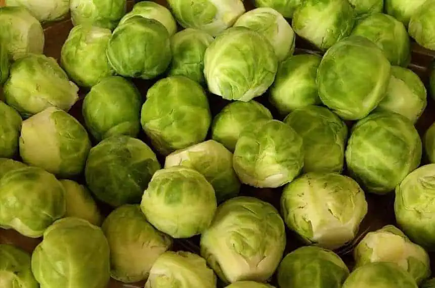 Best Side Dishes To Serve With Brussels Sprouts 1 What to Eat with Brussel Sprouts?