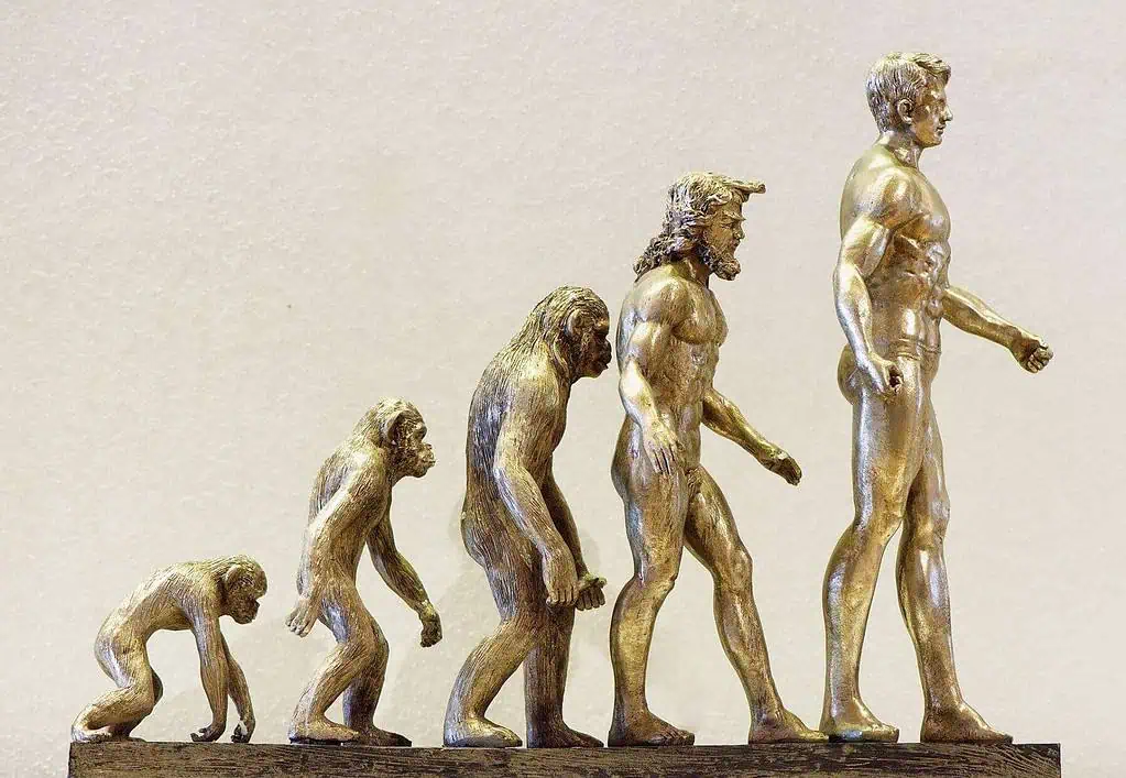 Surviving the Shift: How Climate Change Shaped Early Human Evolution 7 how did climate change affect early humans