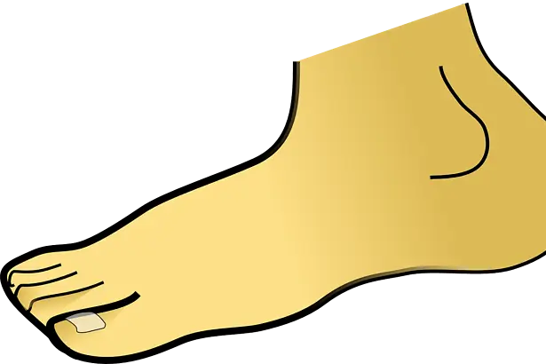 what your toes say about your health