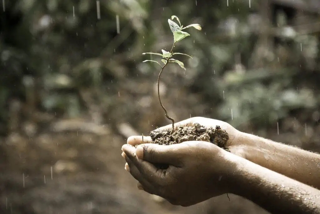 how does climate affect soil formation