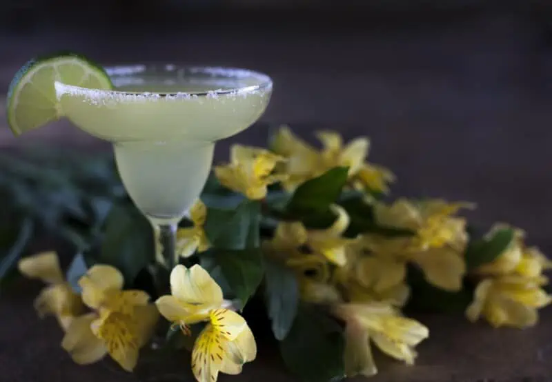 Margarita drink