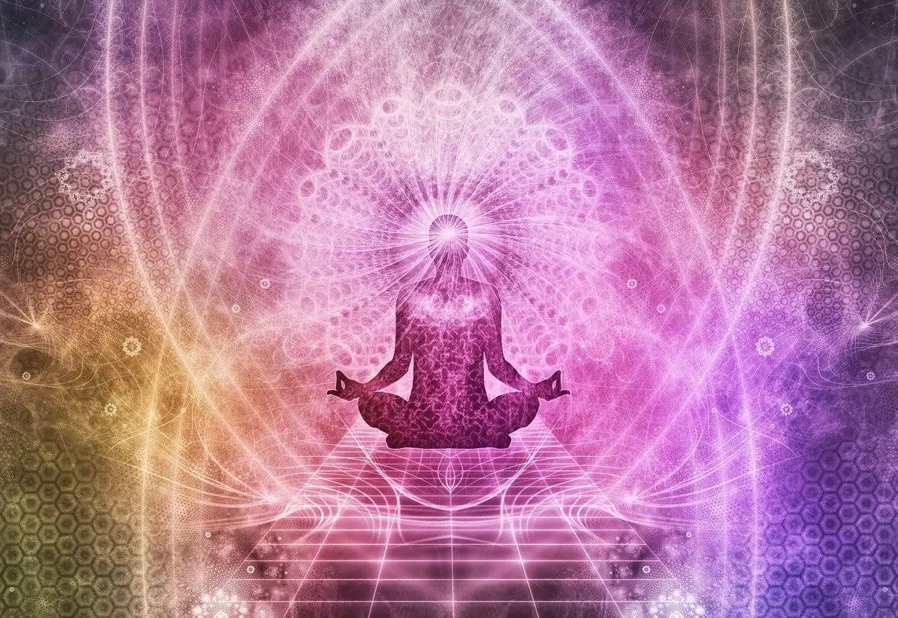 How to do a Dolphin Pose in Yoga? 2 how to do a dolphin pose in yoga?