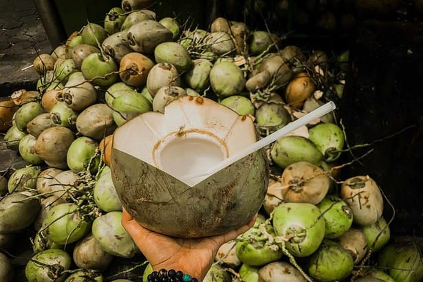Is Coconut Water Good For Dogs