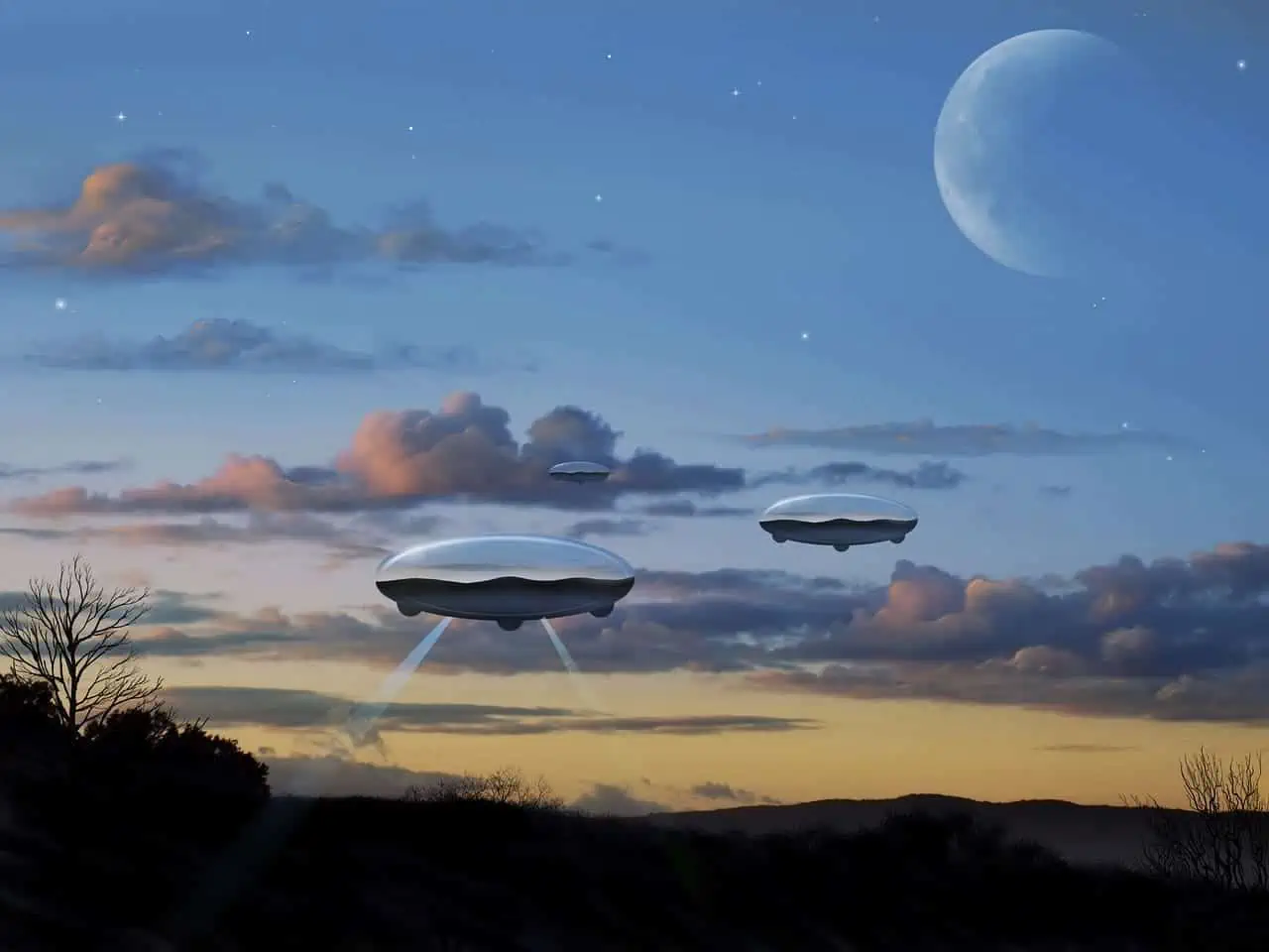 McMinnville UFO Photographs: Fake Or Real ? 2