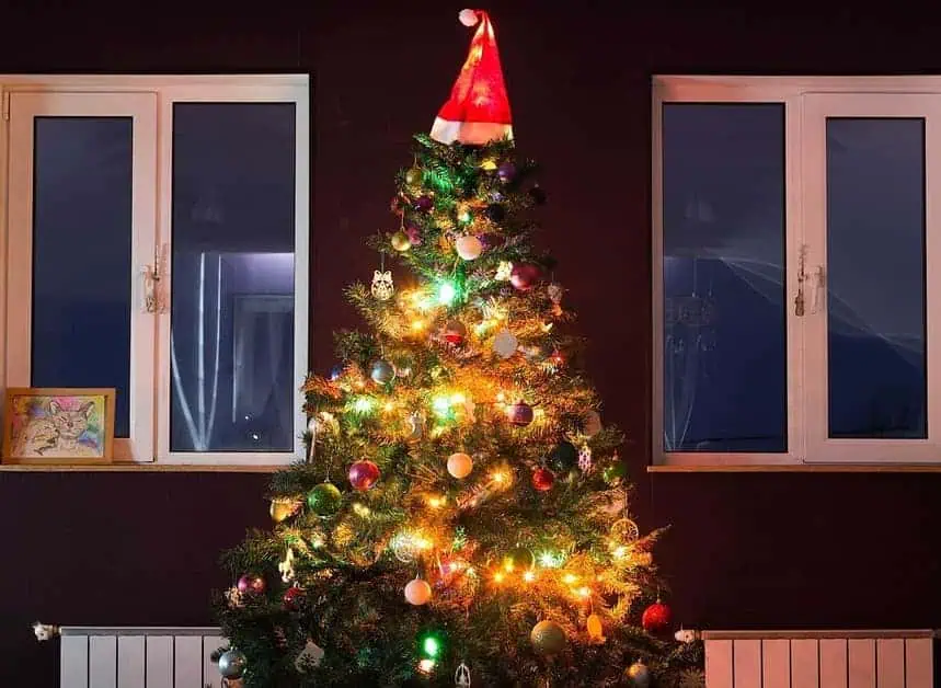 How to Fluff a Christmas Tree