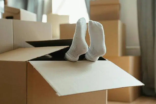 Socks sticking out of a cardboard box during moving day.