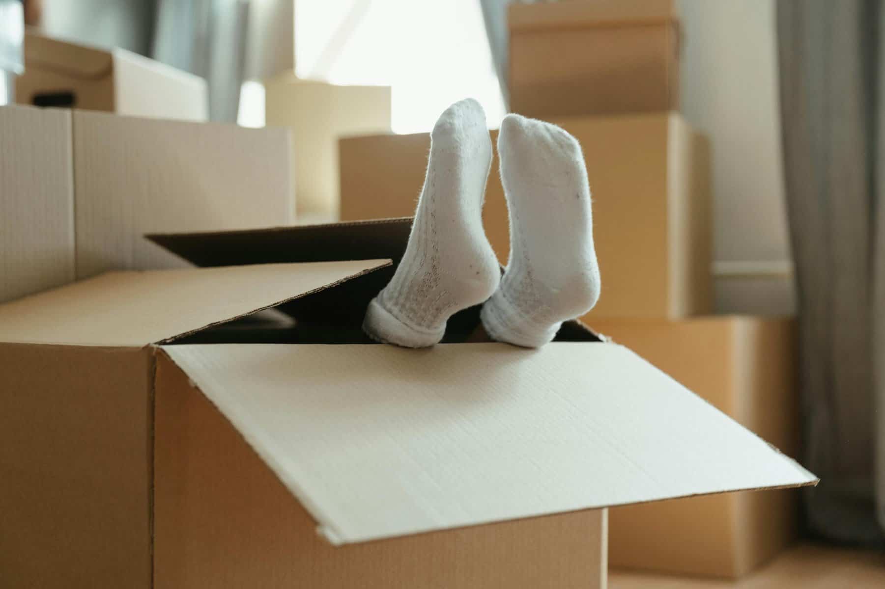 Home Icy 48 Socks sticking out of a cardboard box during moving day.